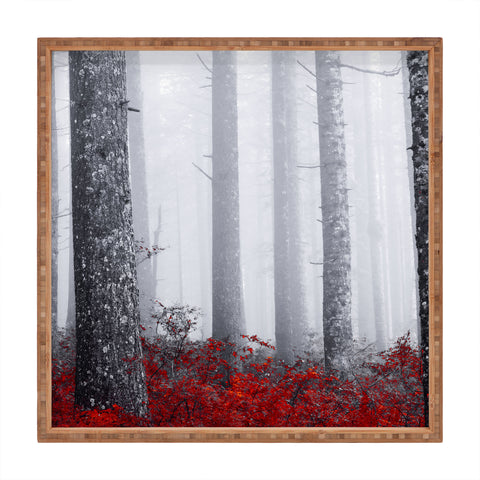 Nature Magick Fall Forest Adventure Square Tray