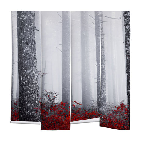 Nature Magick Fall Forest Adventure Wall Mural