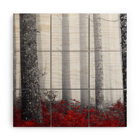 Nature Magick Fall Forest Adventure Wood Wall Mural