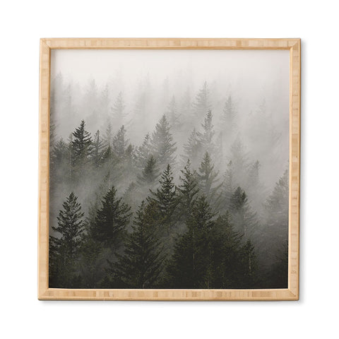 Nature Magick Foggy Fir Forest Fantasy Framed Wall Art