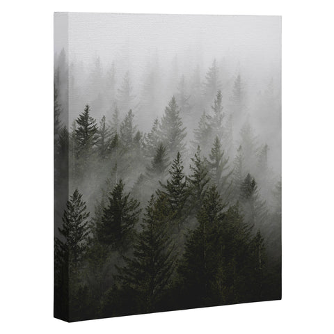 Nature Magick Foggy Fir Forest Fantasy Art Canvas