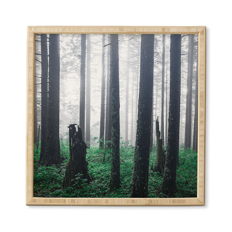 Nature Magick Forest Adventure Framed Wall Art