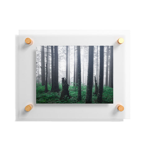 Nature Magick Forest Adventure Floating Acrylic Print