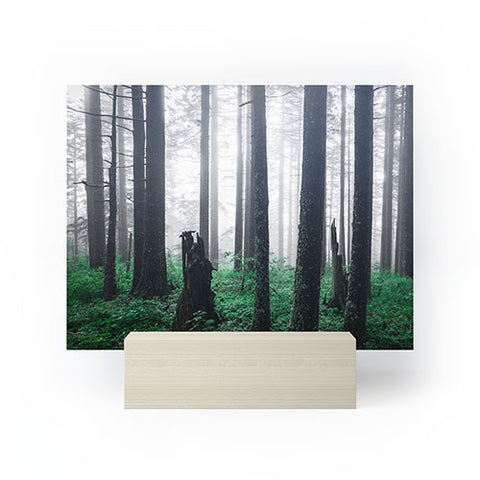 Nature Magick Forest Adventure Mini Art Print