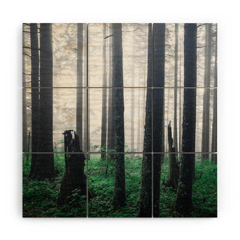 Nature Magick Forest Adventure Wood Wall Mural