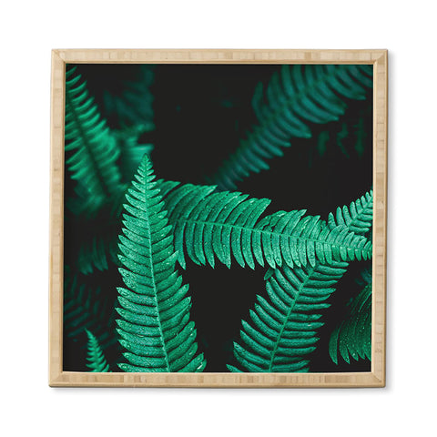 Nature Magick Green Forest Ferns Framed Wall Art
