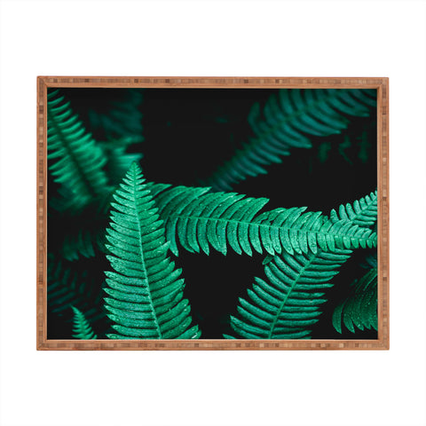 Nature Magick Green Forest Ferns Rectangular Tray