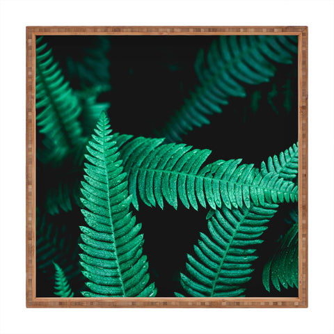 Nature Magick Green Forest Ferns Square Tray