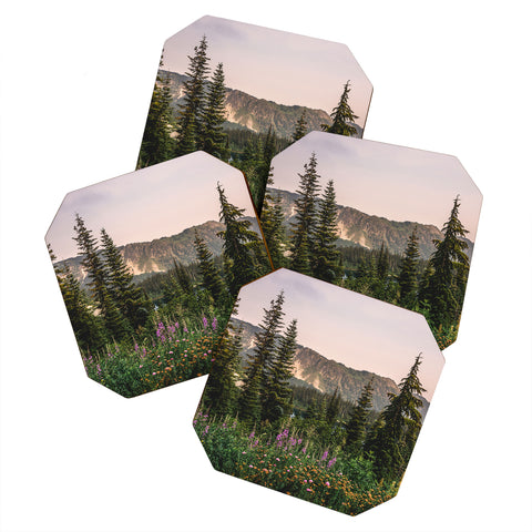 Nature Magick Mount Rainier Wildflower Adventure National Park Wanderlust Coaster Set
