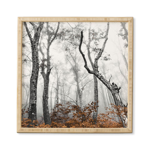 Nature Magick Mountain Forest Adventure Framed Wall Art