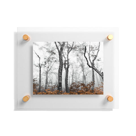Nature Magick Mountain Forest Adventure Floating Acrylic Print