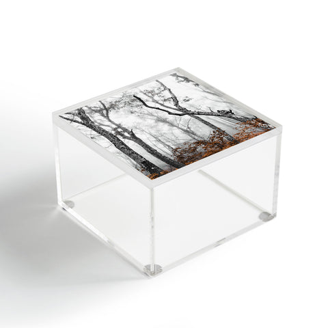 Nature Magick Mountain Forest Adventure Acrylic Box