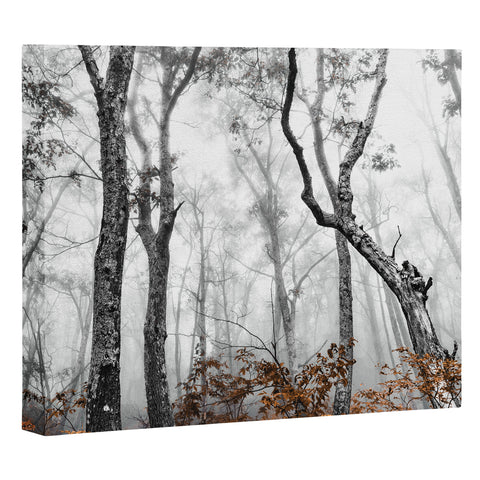 Nature Magick Mountain Forest Adventure Art Canvas