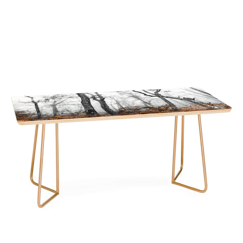 Nature Magick Mountain Forest Adventure Coffee Table