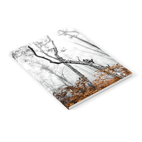 Nature Magick Mountain Forest Adventure Notebook
