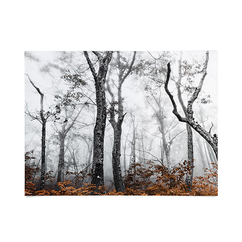 Nature Magick Mountain Forest Adventure Poster