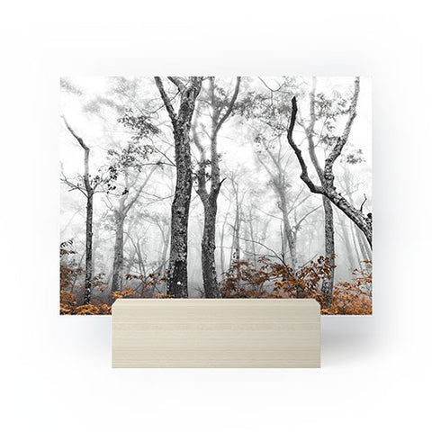 Nature Magick Mountain Forest Adventure Mini Art Print