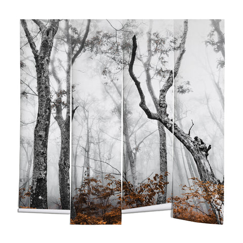 Nature Magick Mountain Forest Adventure Wall Mural