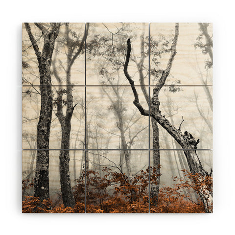 Nature Magick Mountain Forest Adventure Wood Wall Mural
