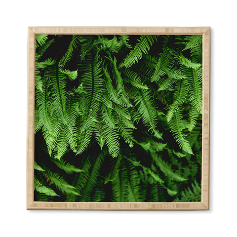 Nature Magick Pacific Northwest Forest Ferns Framed Wall Art