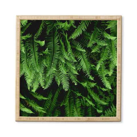 Nature Magick Pacific Northwest Forest Ferns Framed Wall Art