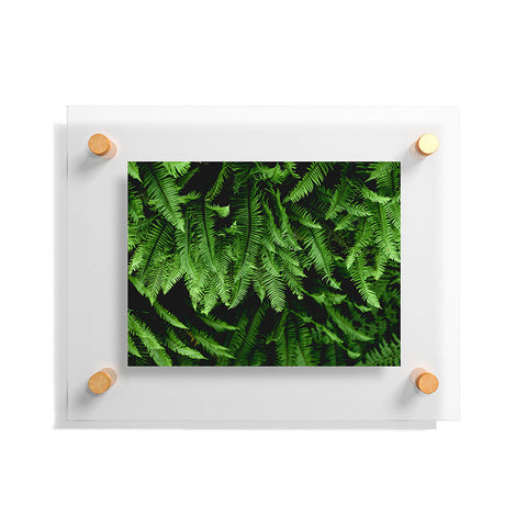 Nature Magick Pacific Northwest Forest Ferns Floating Acrylic Print