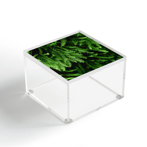 Nature Magick Pacific Northwest Forest Ferns Acrylic Box