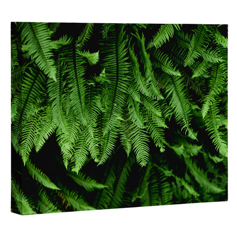 Nature Magick Pacific Northwest Forest Ferns Art Canvas