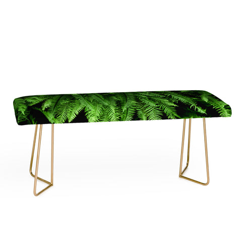 Nature Magick Pacific Northwest Forest Ferns Bench