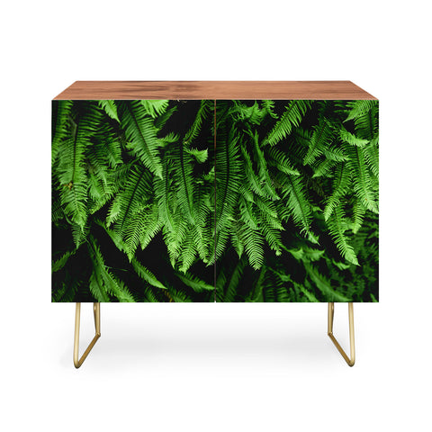 Nature Magick Pacific Northwest Forest Ferns Credenza