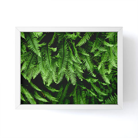 Nature Magick Pacific Northwest Forest Ferns Framed Mini Art Print