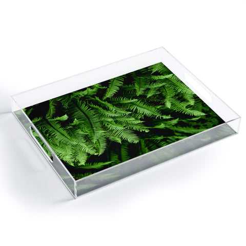 Nature Magick Pacific Northwest Forest Ferns Acrylic Tray