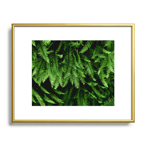 Nature Magick Pacific Northwest Forest Ferns Metal Framed Art Print