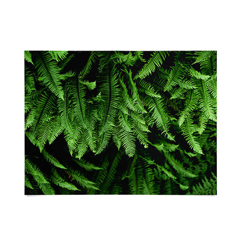 Nature Magick Pacific Northwest Forest Ferns Poster