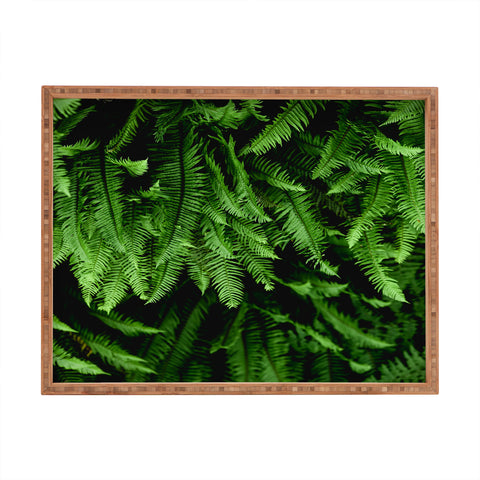 Nature Magick Pacific Northwest Forest Ferns Rectangular Tray
