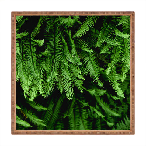 Nature Magick Pacific Northwest Forest Ferns Square Tray