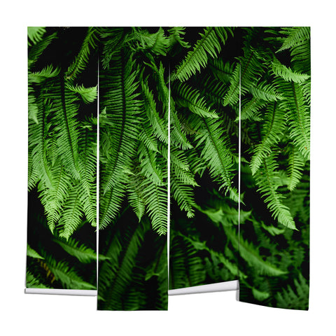 Nature Magick Pacific Northwest Forest Ferns Wall Mural