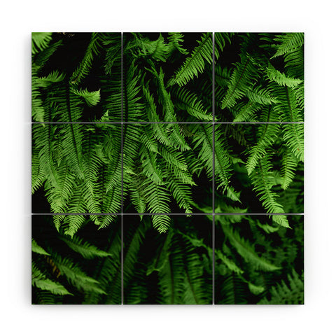 Nature Magick Pacific Northwest Forest Ferns Wood Wall Mural