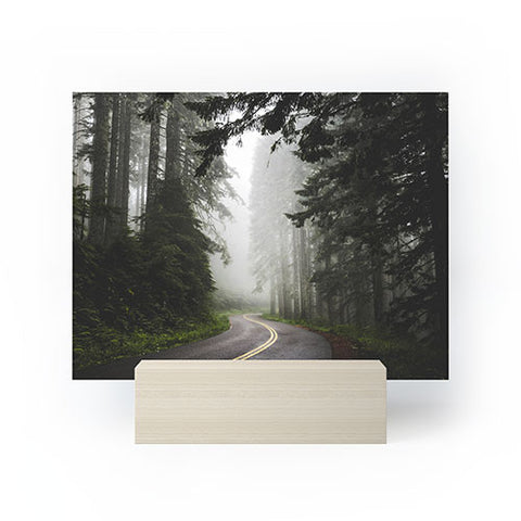 Nature Magick Pacific Northwest Woods Mini Art Print