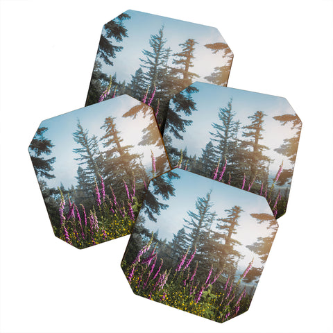 Nature Magick Pink Wildflower Forest Love Coaster Set