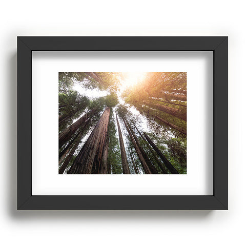 Nature Magick Redwood Forest Sky Recessed Framing Rectangle