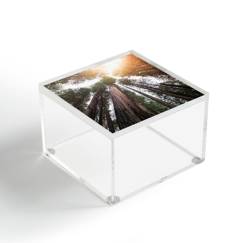 Nature Magick Redwood Forest Sky Acrylic Box