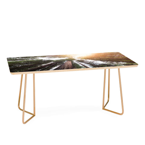 Nature Magick Redwood Forest Sky Coffee Table