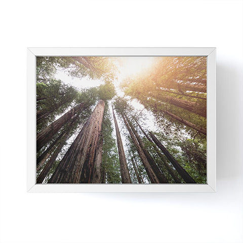 Nature Magick Redwood Forest Sky Framed Mini Art Print