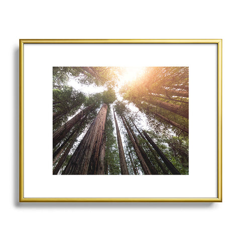 Nature Magick Redwood Forest Sky Metal Framed Art Print