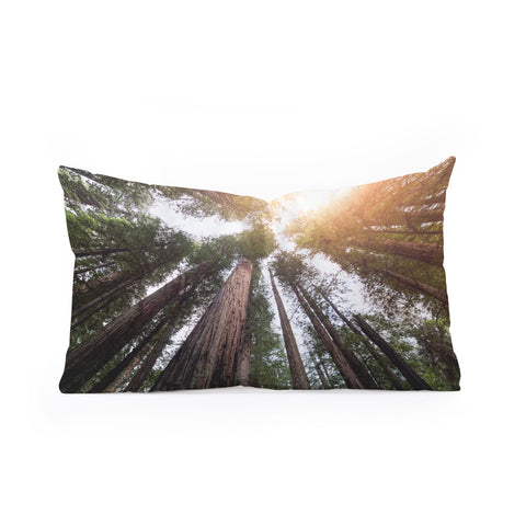 Nature Magick Redwood Forest Sky Oblong Throw Pillow