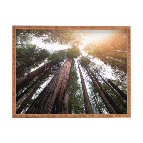 Nature Magick Redwood Forest Sky Rectangular Tray