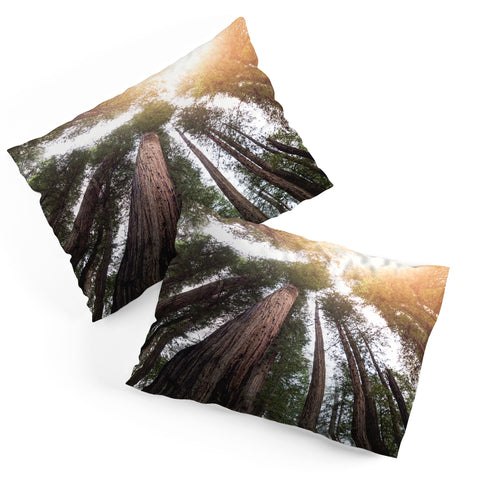 Nature Magick Redwood Forest Sky Pillow Shams