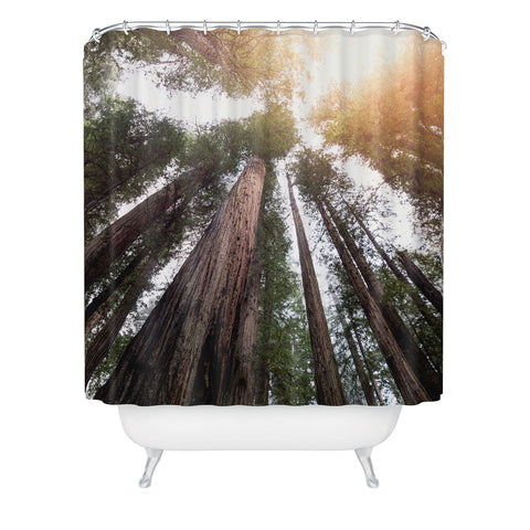 Nature Magick Redwood Forest Sky Shower Curtain