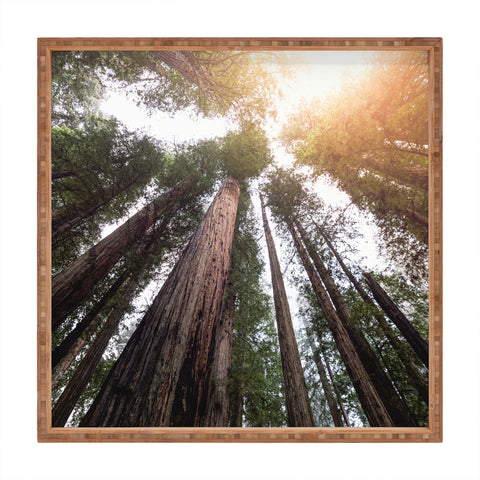Nature Magick Redwood Forest Sky Square Tray